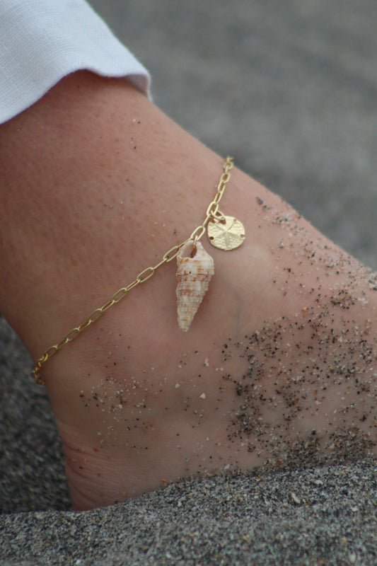 Sand dollar anklet