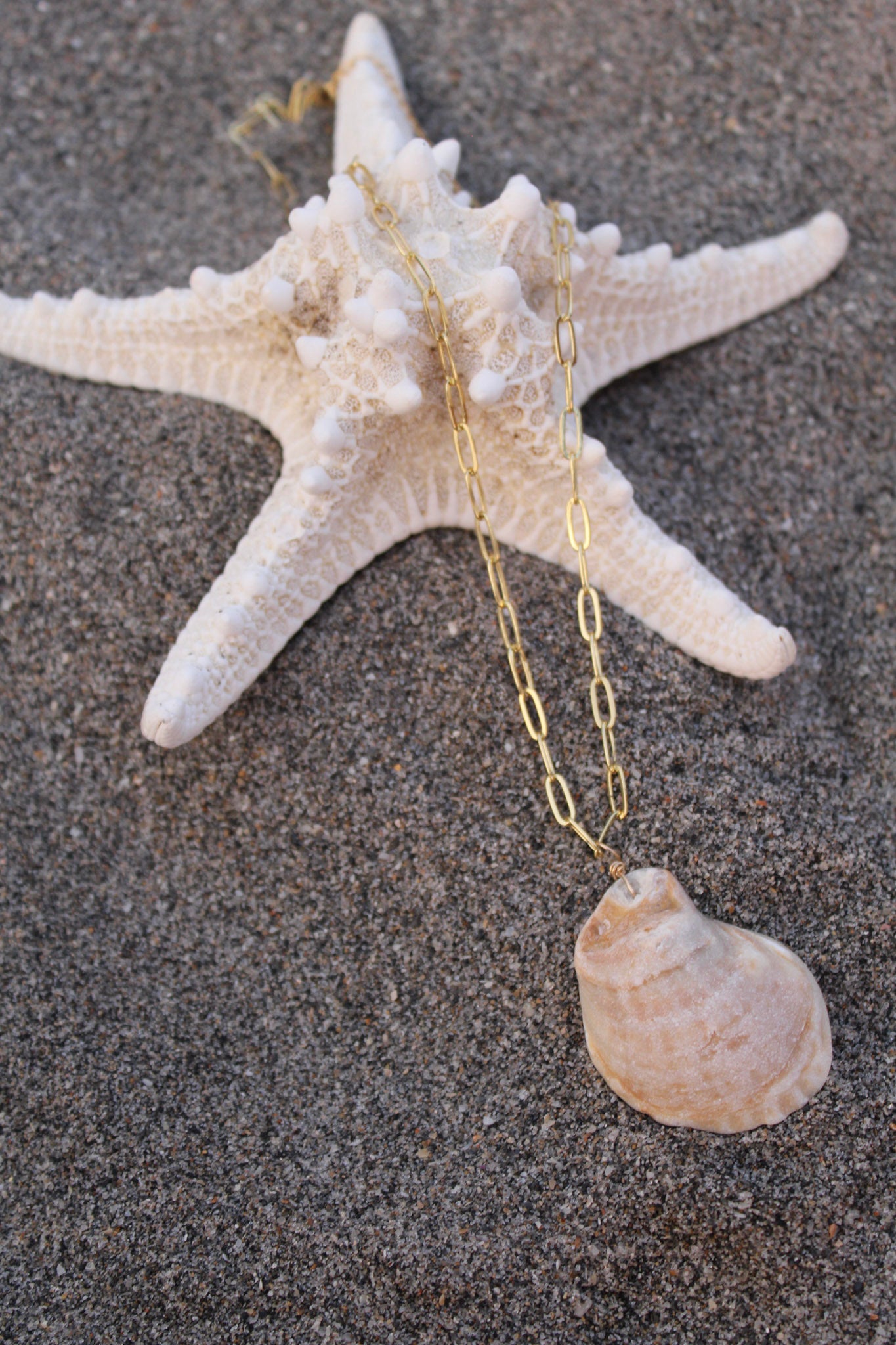 Oyster shell necklace