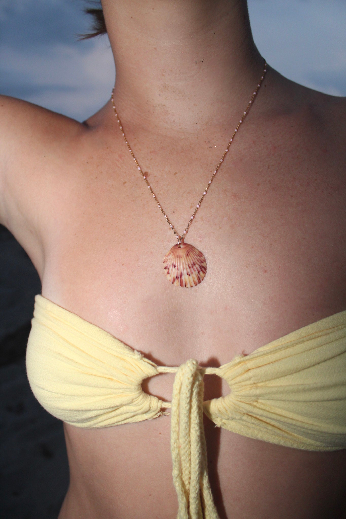 Pretty in pink scallop shell necklace